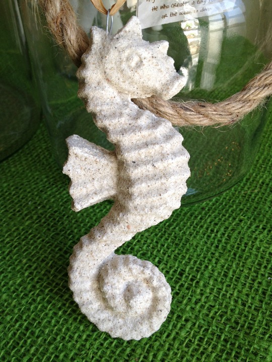 Ribbed Sea Horse 2